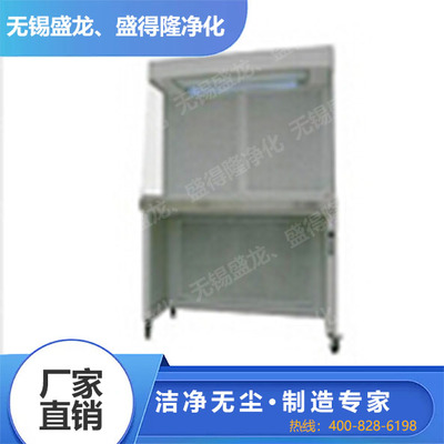 双人水平流工作台